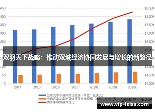 双羽天下战略：推动双城经济协同发展与增长的新路径