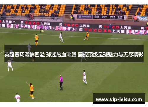英超赛场激情四溢 球迷热血沸腾 展现顶级足球魅力与无尽精彩