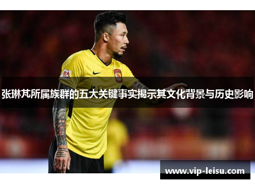张琳芃所属族群的五大关键事实揭示其文化背景与历史影响